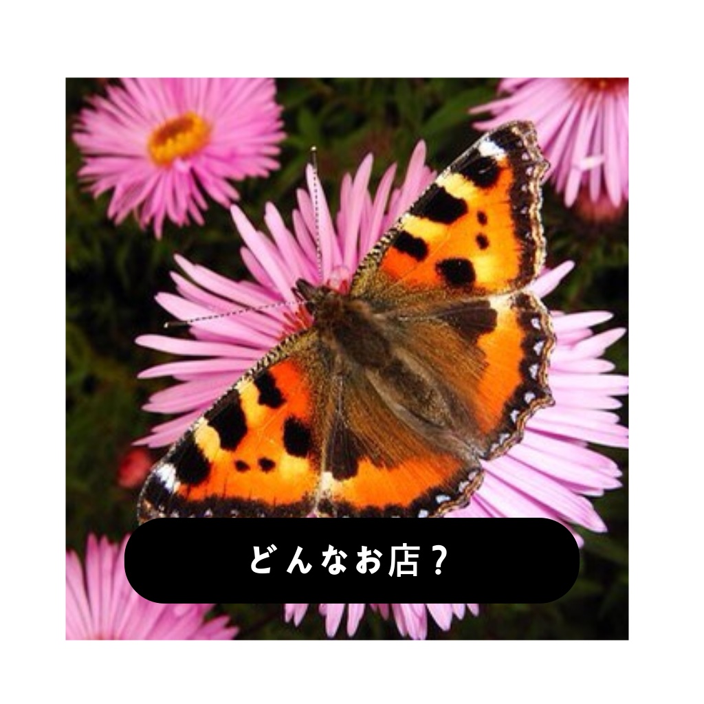 どんな店？